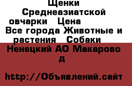 Щенки Среднеазиатской овчарки › Цена ­ 30 000 - Все города Животные и растения » Собаки   . Ненецкий АО,Макарово д.